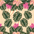 Seamless exotic pattern with tropical leaves and flowers on a white background. Hibiscus, palm Royalty Free Stock Photo