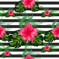 Seamless exotic pattern with tropical leaves and flowers on a white background. Hibiscus, palm Royalty Free Stock Photo