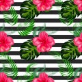 Seamless exotic pattern with tropical leaves and flowers on a white background. Hibiscus, palm Royalty Free Stock Photo