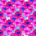 Hibiscus. Seamless exotic pattern with tropical leaves and flowers on a white background. Watercolor illustration. Royalty Free Stock Photo