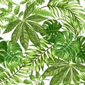 Seamless exotic pattern with tropical leaves