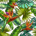 Seamless texture on the theme of the tropics, jungle from palm leaves, monstera, banana leaves, strelitzia and heliconia flowers