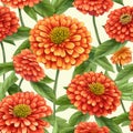 Seamless fabric pattern of colorful bright zinnias flower. Design for paper, cover, fabric, interior decor, textile and other Royalty Free Stock Photo