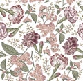 Seamless fabric pattern isolated flowers Vintage background Carnation Wallpaper Drawing engraving Vector Illustration Heliotrope Royalty Free Stock Photo