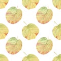 Seamless fall leaves pattern. Watercolor floral background with autumn birch leaves in yellow, orange, green, red colors for Royalty Free Stock Photo