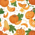 Seamless fall pattern with pumpkins, squashes, leaves, seeds on white background. Repeating texture of autumn harvest