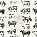 Seamless farm vector pattern. Graphical cow silhouette, hand drawn vintage illustrations. Retro farm animals background. Royalty Free Stock Photo