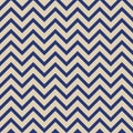 Seamless fashion zigzag patternSeamless fashion zigzag pattern. Stylish texture. Zigzag color lines.