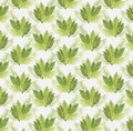 Seamless fern vector pattern on a light background