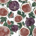 Seamless figs pattern. Summer fruits and leaves hand drawn illustration Royalty Free Stock Photo