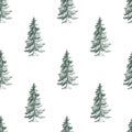 Seamless fir vector pattern