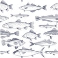 Seamless fish background, pattern of tuna, trout, mackerel and other commercial fish and seafood wallpaper