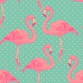 Seamless flamingo bird pattern. hand drawn vector