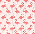 Seamless flamingo birds pattern Royalty Free Stock Photo