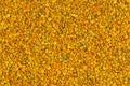 Seamless flat texture and background of yellow bee pollen granules Royalty Free Stock Photo
