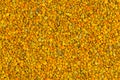 Seamless flat texture and background of yellow bee pollen granules