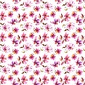 Seamless floral background. Pink flowers pattern. Transparent floral petals. Textile pattern template.