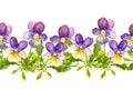 Seamless floral border band with viola flowers on white background