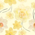 Seamless floral design with daffodil flowers for background