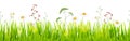 seamless floral grass panorama background