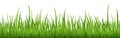 seamless floral grass panorama background Royalty Free Stock Photo