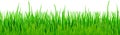 seamless floral grass panorama background