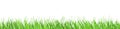seamless floral grass panorama background Royalty Free Stock Photo