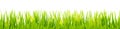 seamless floral grass panorama background Royalty Free Stock Photo