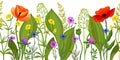 Seamless floral horizontal pattern with wildflowers and plants. Vector meadow flowers and herbs. Botanical hand drawn illustration Royalty Free Stock Photo