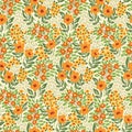 Seamless floral pattern, abstract ditsy print with folk meadow, small yellow flowers, grass on the field. Vector. Royalty Free Stock Photo