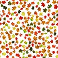 Seamless floral pattern. Autumn yellow red, orange leaf isolated on white. Colorful maple foliage. Season leaves fall background Royalty Free Stock Photo