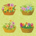 Seamless floral pattern, baskets with flowers Royalty Free Stock Photo