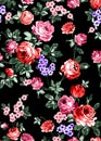 Seamless floral pattern with bright colorful flowers with leaves on a black background. The elegant template for fashion prints. M Royalty Free Stock Photo