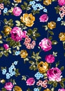 Seamless floral pattern with bright colorful flowers with leaves on a dark blue background. The elegant template for fashion print Royalty Free Stock Photo