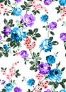 Seamless floral pattern with bright colorful flowers with leaves on a white background. The elegant template for fashion prints. M Royalty Free Stock Photo