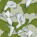 Seamless floral pattern - calla