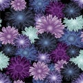 Seamless floral pattern with colored daisy flowers on dark background