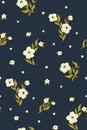 Seamless floral pattern, cute ditsy print with small white flowers on dark. Vector. Royalty Free Stock Photo