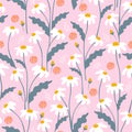 Seamless floral pattern with daisies. Vector daisy background Royalty Free Stock Photo