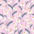Seamless floral pattern with daisies. Vector daisy background Royalty Free Stock Photo