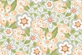 Seamless floral pattern with delicate decorative flowers in a romantic hippie style. Vector. Royalty Free Stock Photo