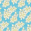 Seamless floral pattern, ditsy print in retro style: white flowers bouquets on blue. Vector. Royalty Free Stock Photo