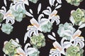 Seamless floral pattern of exotic tropical lilies and succulent isolated on the black background. Royalty Free Stock Photo