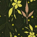 Seamless floral pattern of field plants of the North-Western Caucasus bidens, V. major on a dark green background.