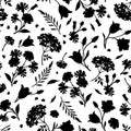 Seamless floral pattern with flowers. Vector black and white illustration Royalty Free Stock Photo