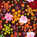 Seamless floral pattern with garden flowers on dark brown background. Fashionable print for fabric