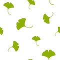 Seamless floral pattern green ginkgo biloba leaves. Floral texture on white background Royalty Free Stock Photo