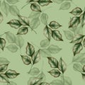 Seamless floral pattern. Green leaves Royalty Free Stock Photo