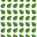 Seamless floral pattern. Green leaves texture on white background Royalty Free Stock Photo