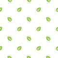 Seamless floral pattern. Green leaves texture on white background Royalty Free Stock Photo